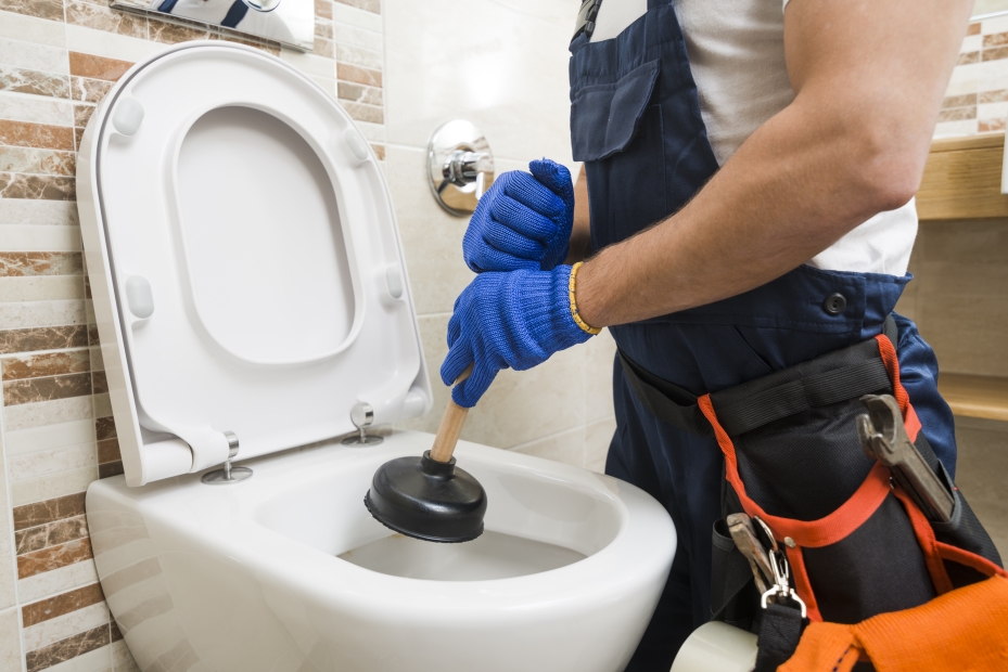 Crop-plumber-with-force-cup