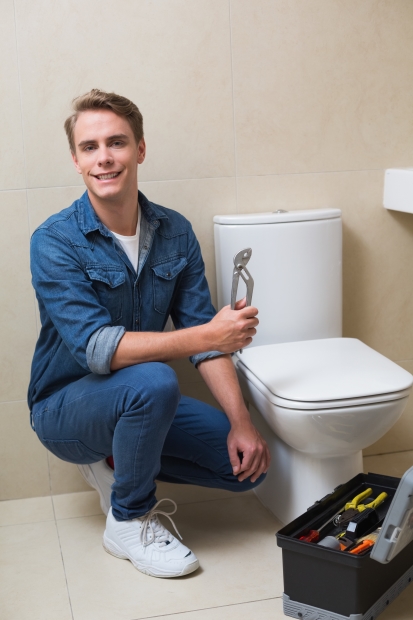 Handsome-plumber